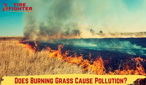 Does Burning Grass Cause Pollution