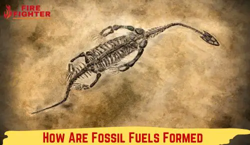 How Are Fossil Fuels Formed