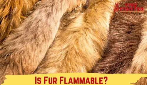 Is Fur Flammable? What You Need to Know