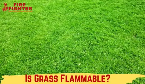 Is Grass Flammable