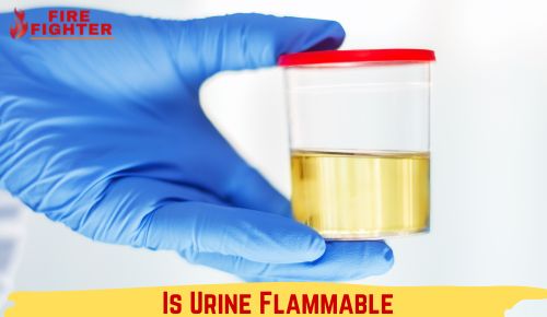 Is Urine/Pee Flammable