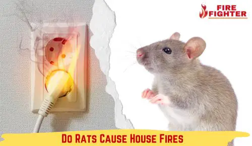 Cause Of Fire By Rats