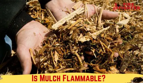 Is Mulch Flammable? What You Need to Know