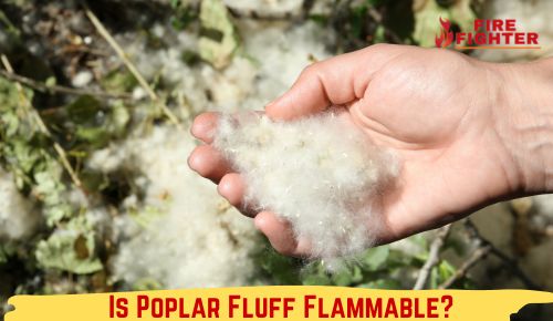 Is Poplar Fluff Flammable? Igniting the Debate
