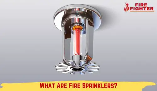 What Are Fire Sprinklers? The Ultimate Lifesavers