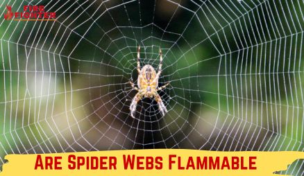 Are Spider Webs Flammable? From Silk to Smoke