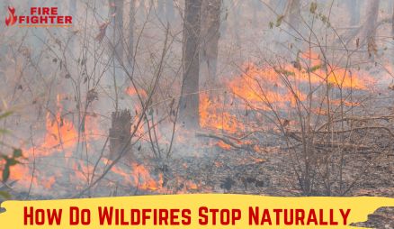 How Do Wildfires Stop Naturally?