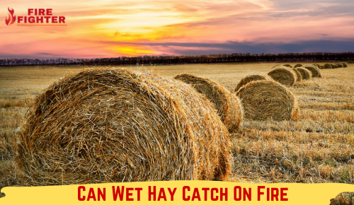 Can Wet Hay Catch On Fire?