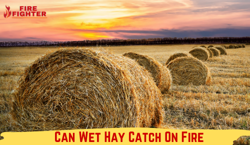 Can Wet Hay Catch On Fire